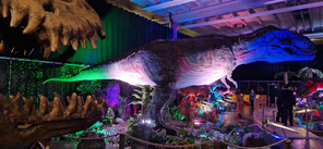 Purraanko pyrstöä?