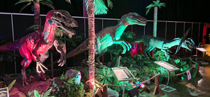 Kolme veijaria vierekkäin